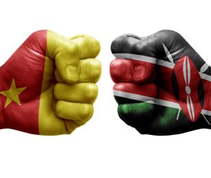 logiciels Kenya - cameroun