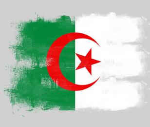 Drapeau algérie 537