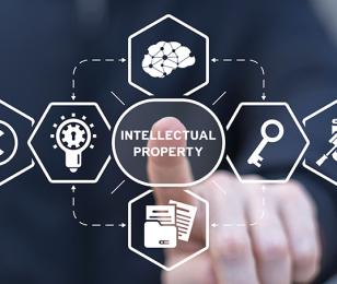 Grex_International_PROPRIÉTÉ_INTELLECTUELLE