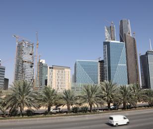 Arabie_Saoudite_Grex_International_537