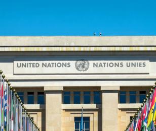 Grex_International_ONU_537